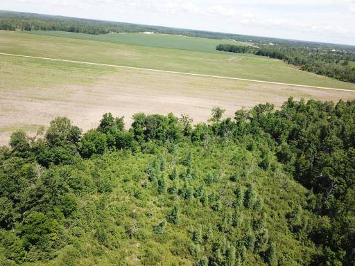 TBD Boot Lake Road SW, Bemidji, MN 56601