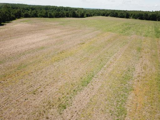 TBD Boot Lake Road SW, Bemidji, MN 56601