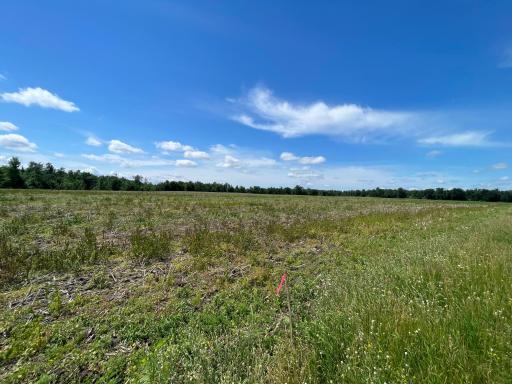 TBD Boot Lake Road SW, Bemidji, MN 56601