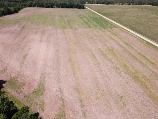TBD Boot Lake Road SW, Bemidji, MN 56601