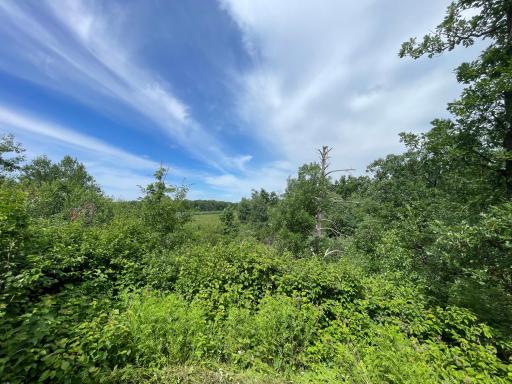 TBD Boot Lake Road SW, Bemidji, MN 56601