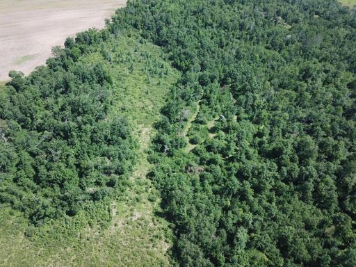 TBD Boot Lake Road SW, Bemidji, MN 56601