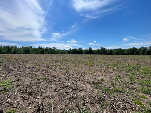 TBD Boot Lake Road SW, Bemidji, MN 56601