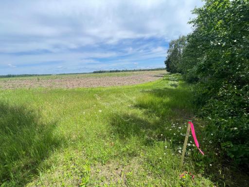 TBD Boot Lake Road SW, Bemidji, MN 56601