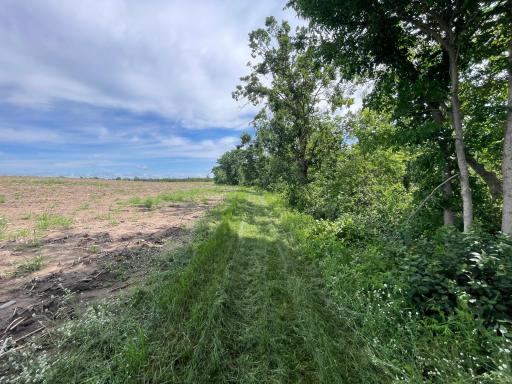 TBD Boot Lake Road SW, Bemidji, MN 56601