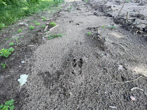 TBD Boot Lake Road SW, Bemidji, MN 56601