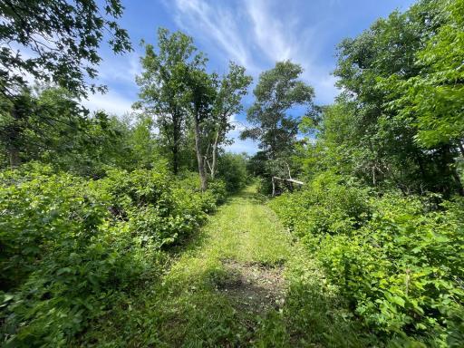 TBD Boot Lake Road SW, Bemidji, MN 56601