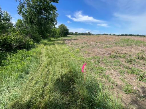 TBD Boot Lake Road SW, Bemidji, MN 56601