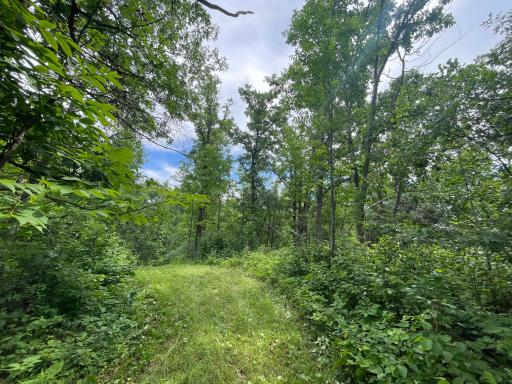 TBD Boot Lake Road SW, Bemidji, MN 56601