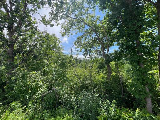 TBD Boot Lake Road SW, Bemidji, MN 56601