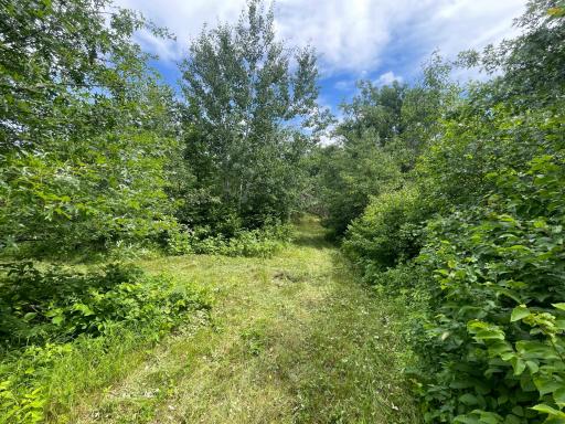 TBD Boot Lake Road SW, Bemidji, MN 56601