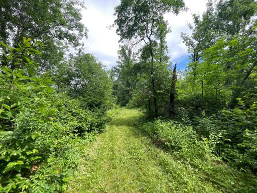 TBD Boot Lake Road SW, Bemidji, MN 56601