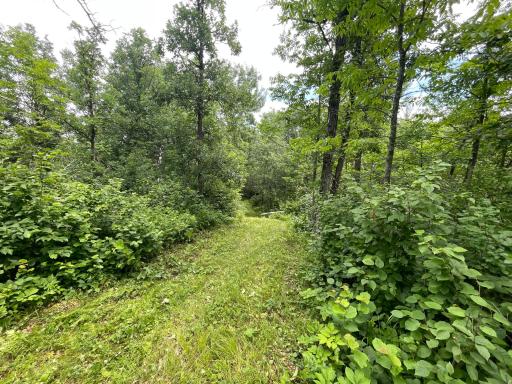 TBD Boot Lake Road SW, Bemidji, MN 56601