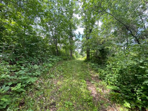 TBD Boot Lake Road SW, Bemidji, MN 56601