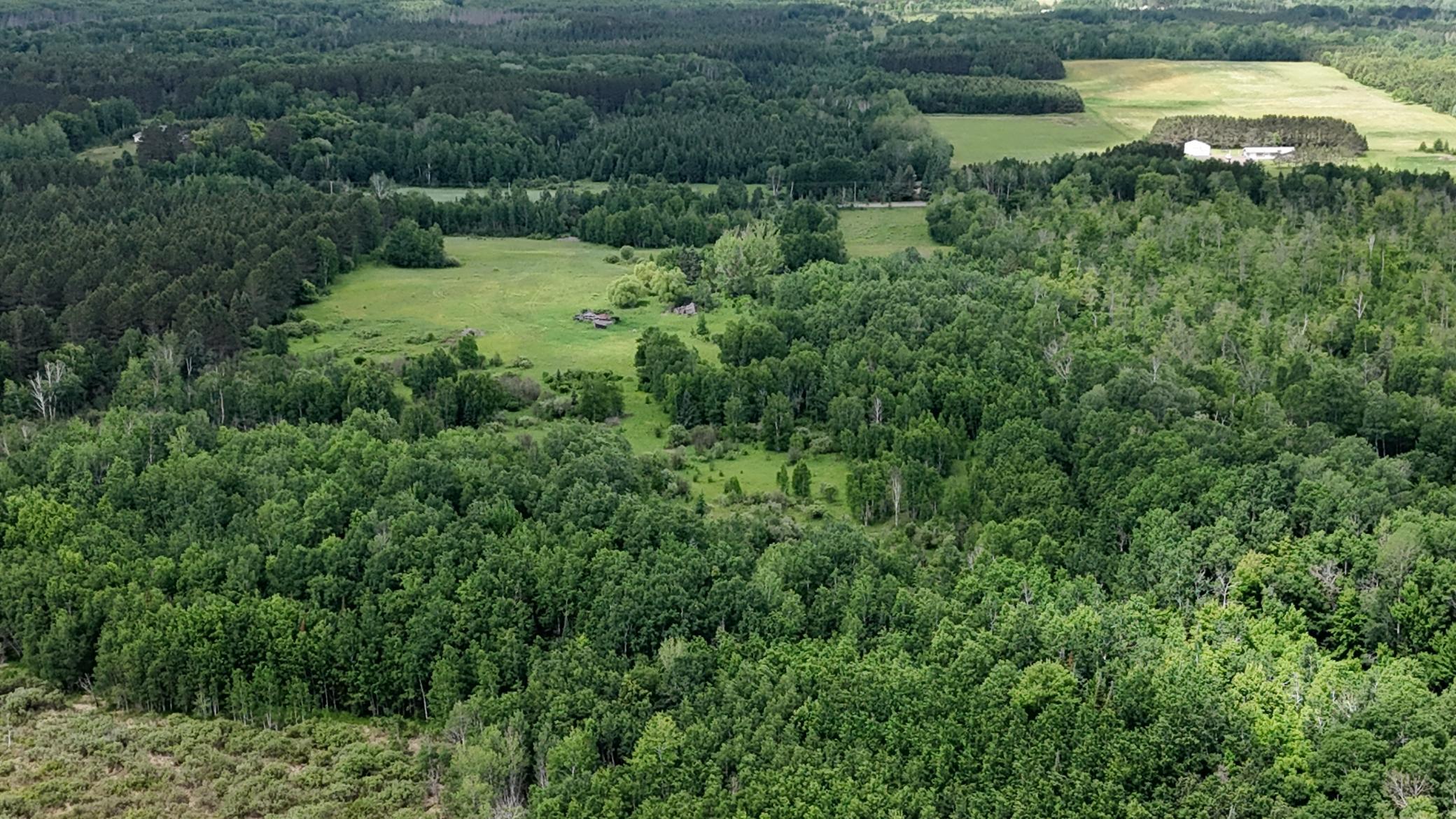 DJI_20260616113903_0525_D.JPG