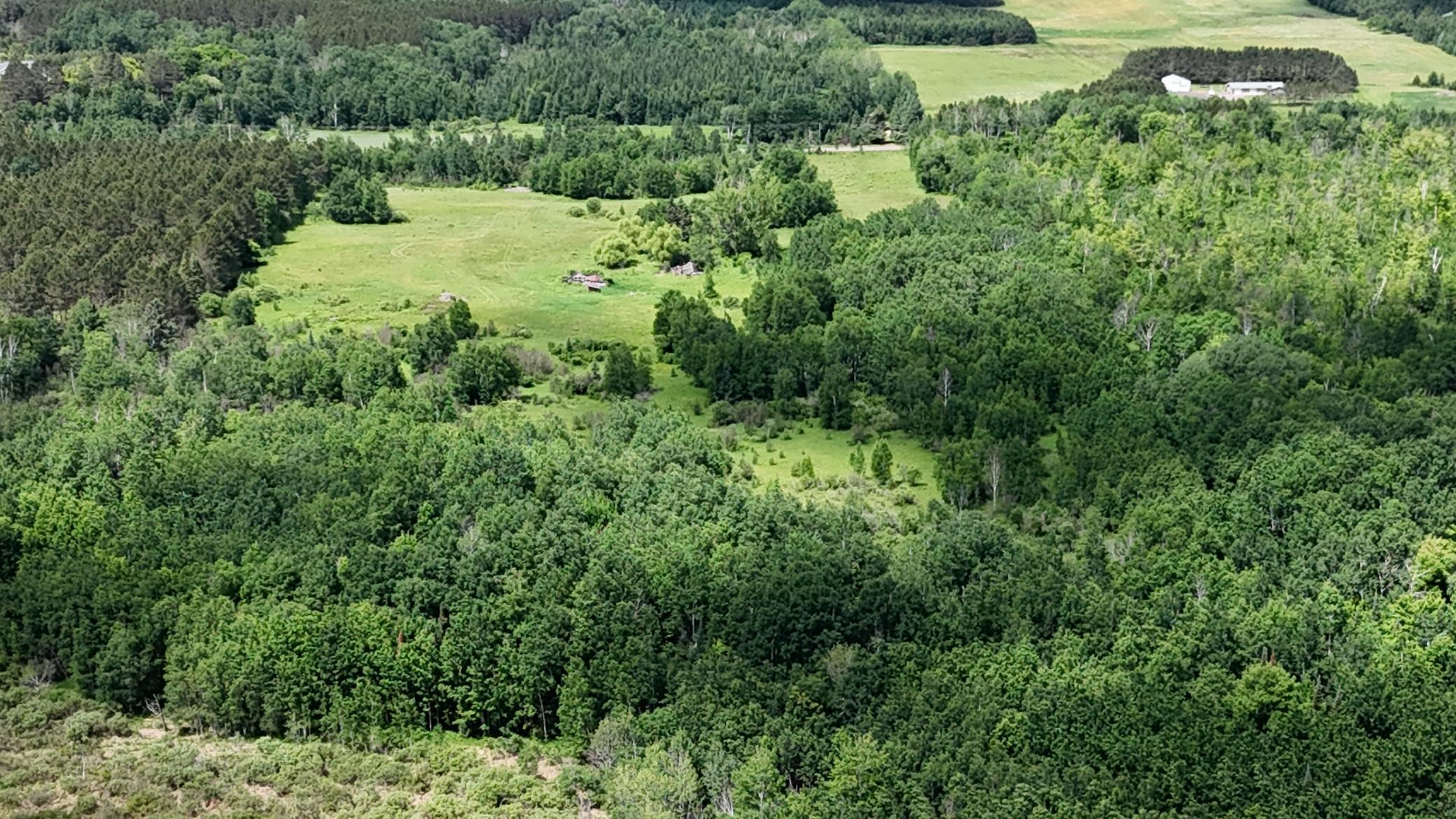 DJI_20260616114103_0527_D.JPG