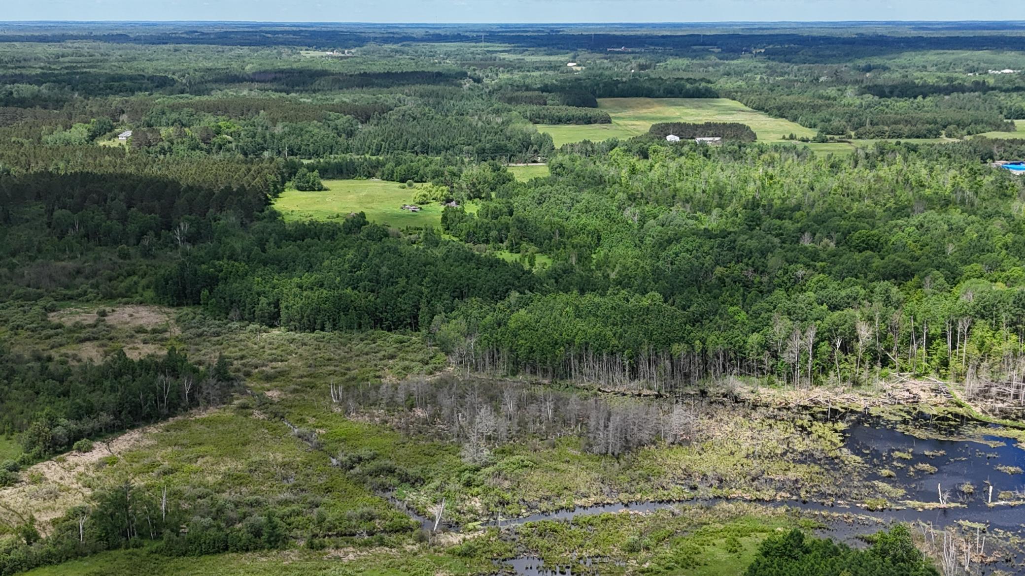 DJI_20260616114038_0526_D.JPG