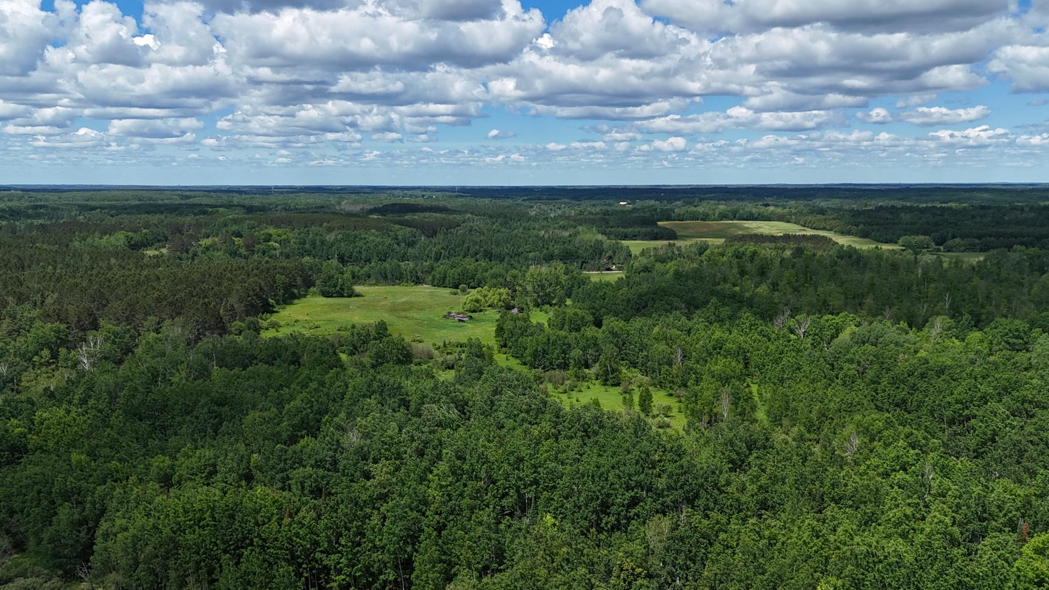 DJI_20260616114140_0529_D.JPG