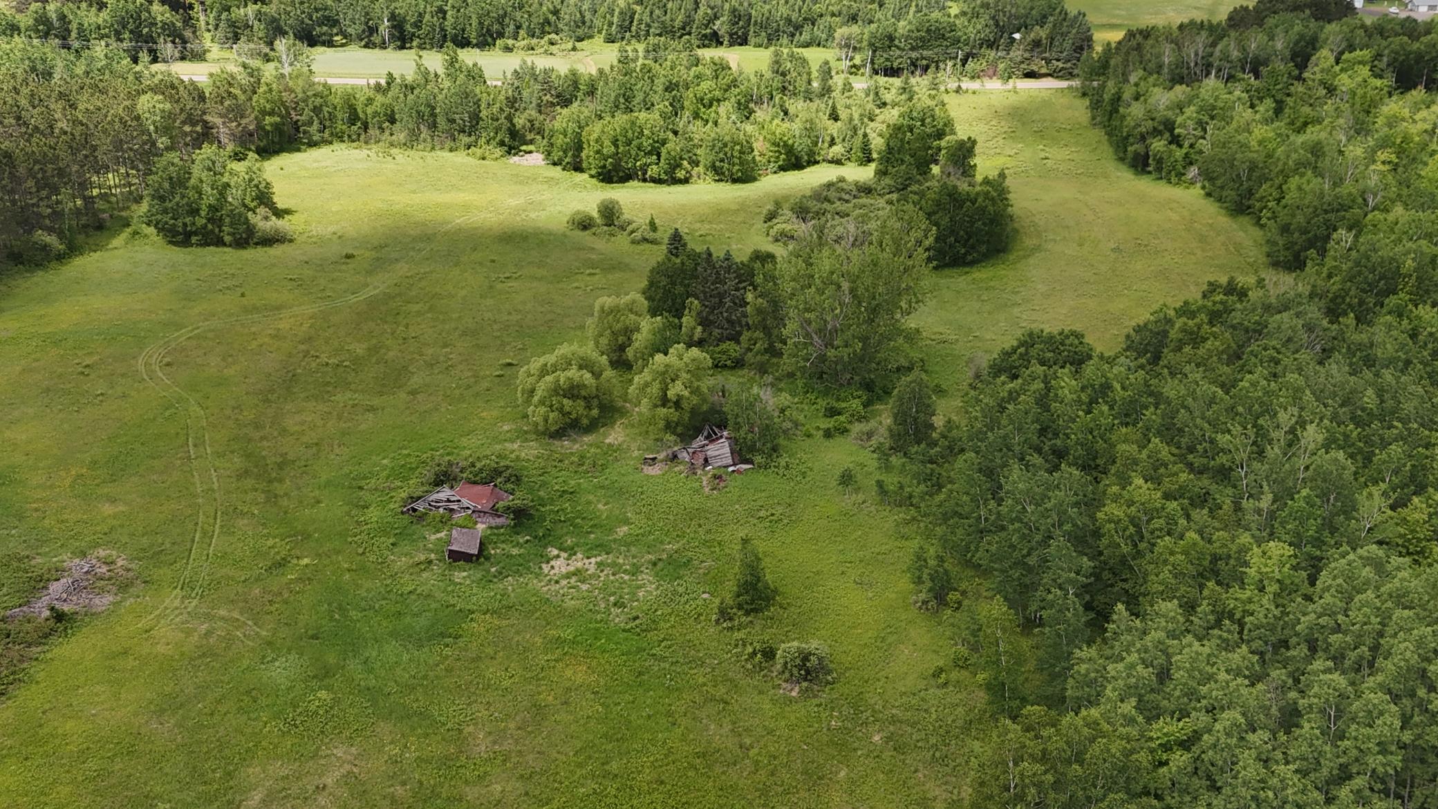 DJI_20260616114221_0533_D.JPG