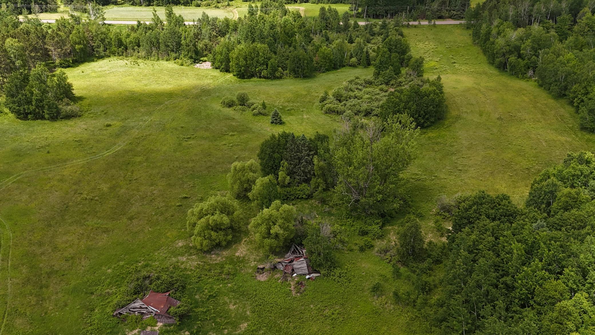 DJI_20260616114230_0534_D.JPG