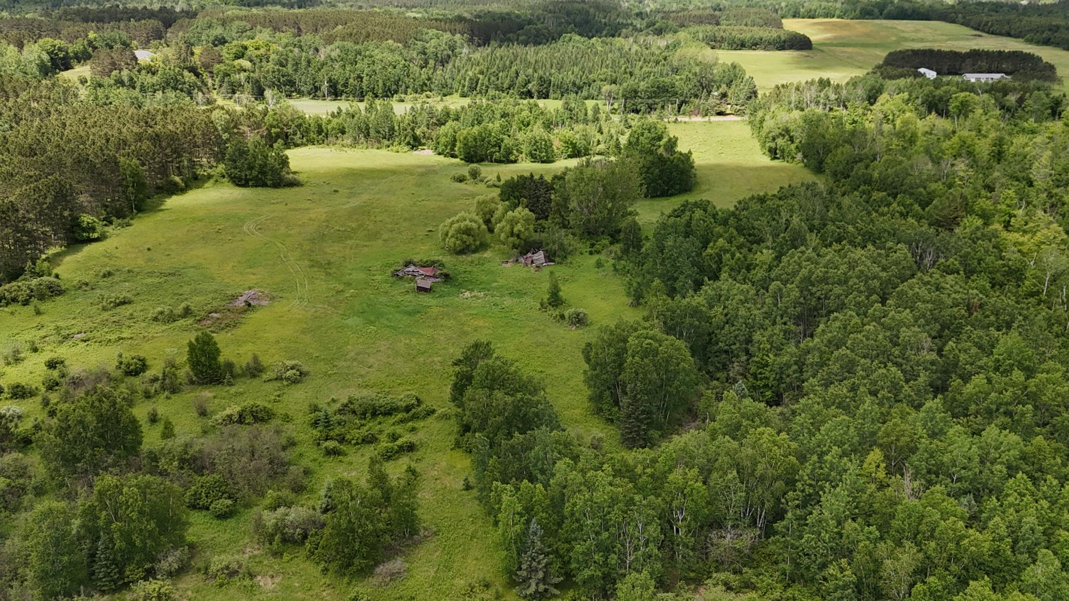 DJI_20260616114209_0531_D.JPG