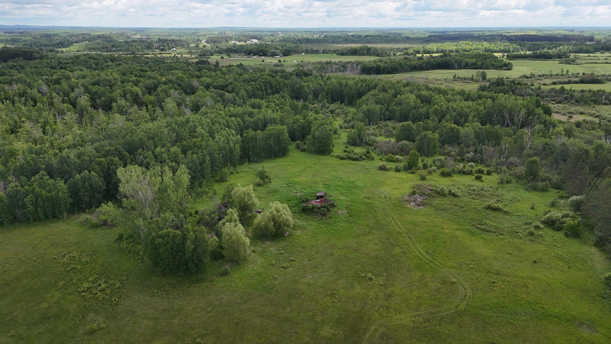 DJI_20260616113536_0517_D.JPG