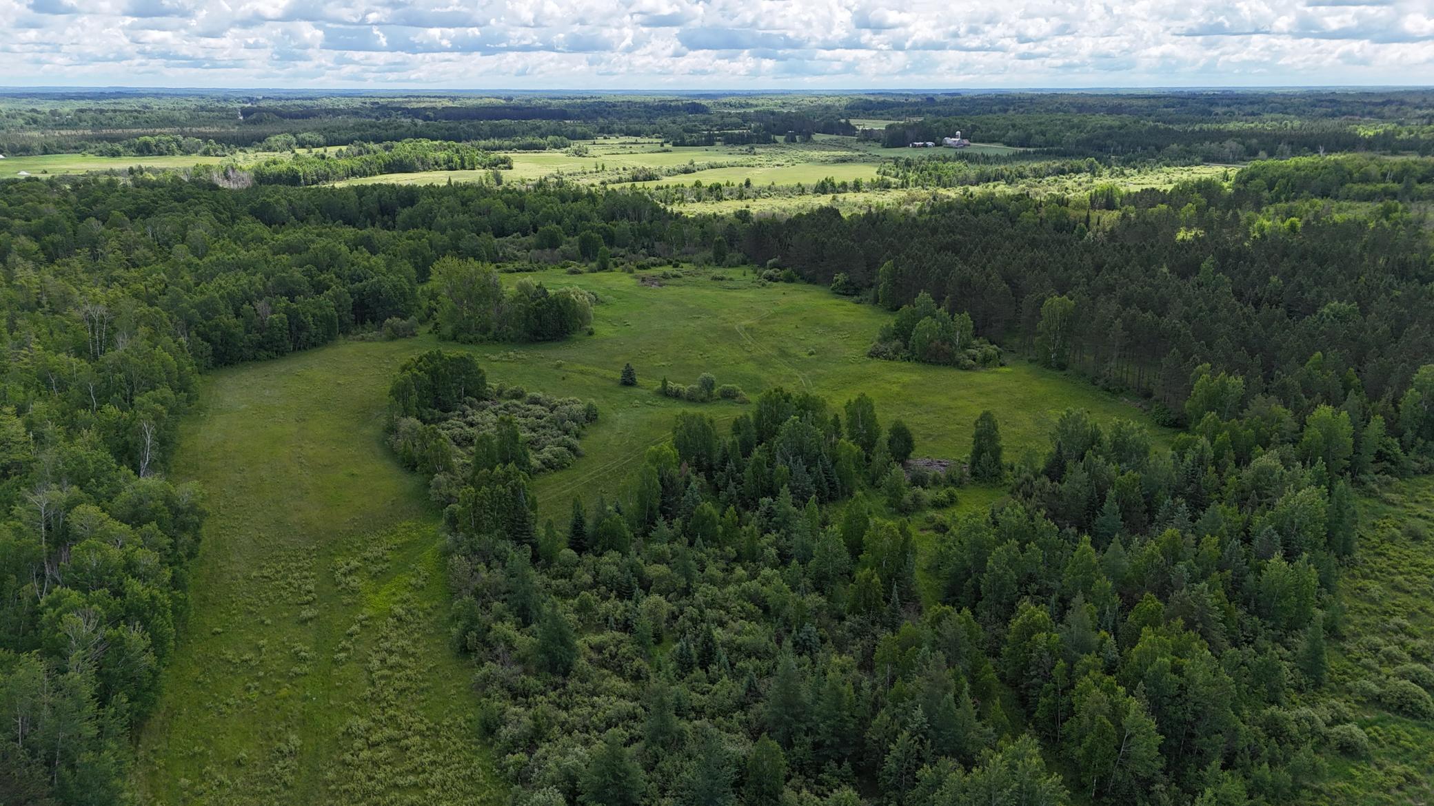 DJI_20260616114541_0547_D.JPG
