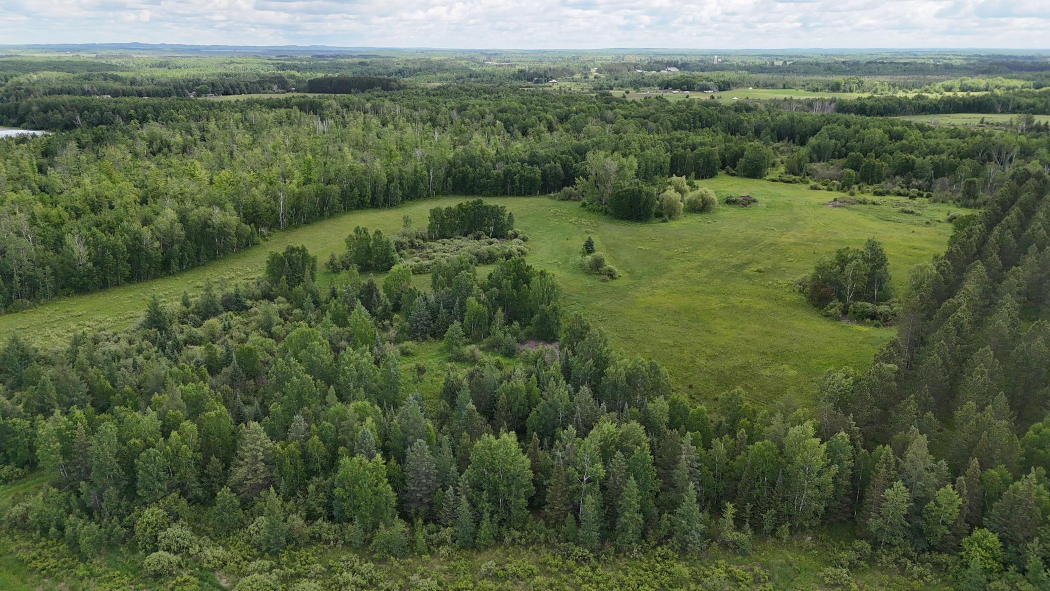 DJI_20260616113512_0515_D.JPG
