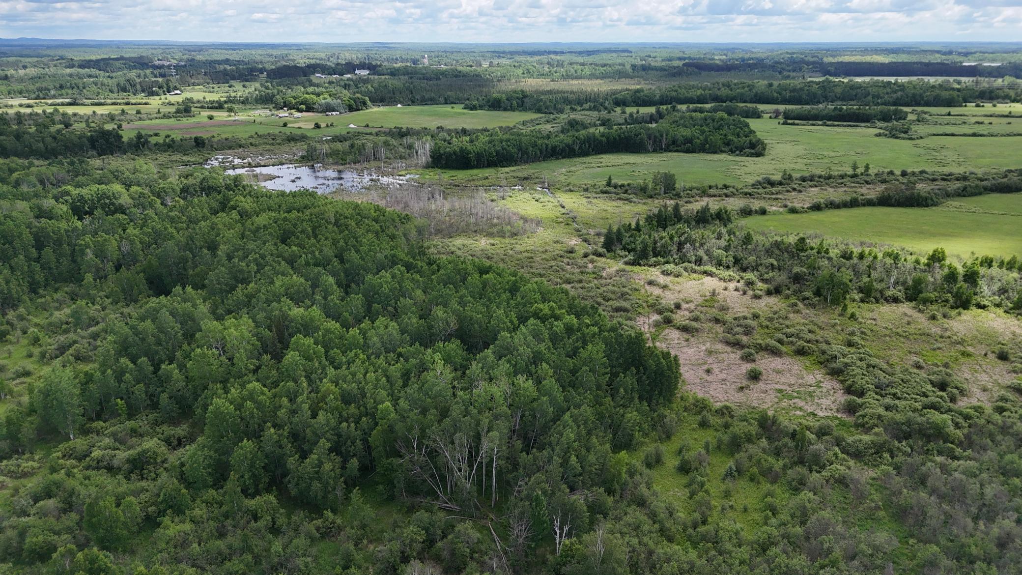 DJI_20260616113649_0522_D.JPG