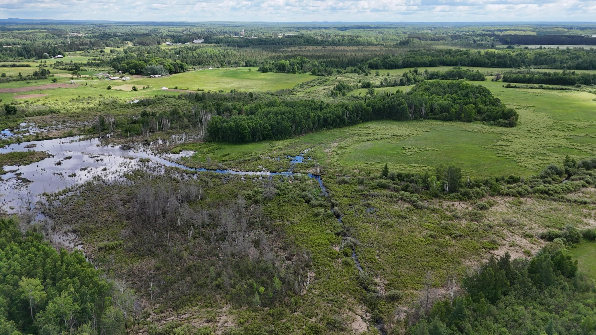 DJI_20260616113737_0523_D.JPG