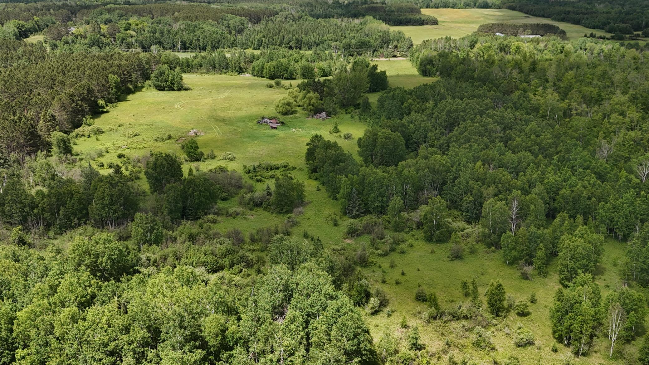 DJI_20260616114156_0530_D.JPG