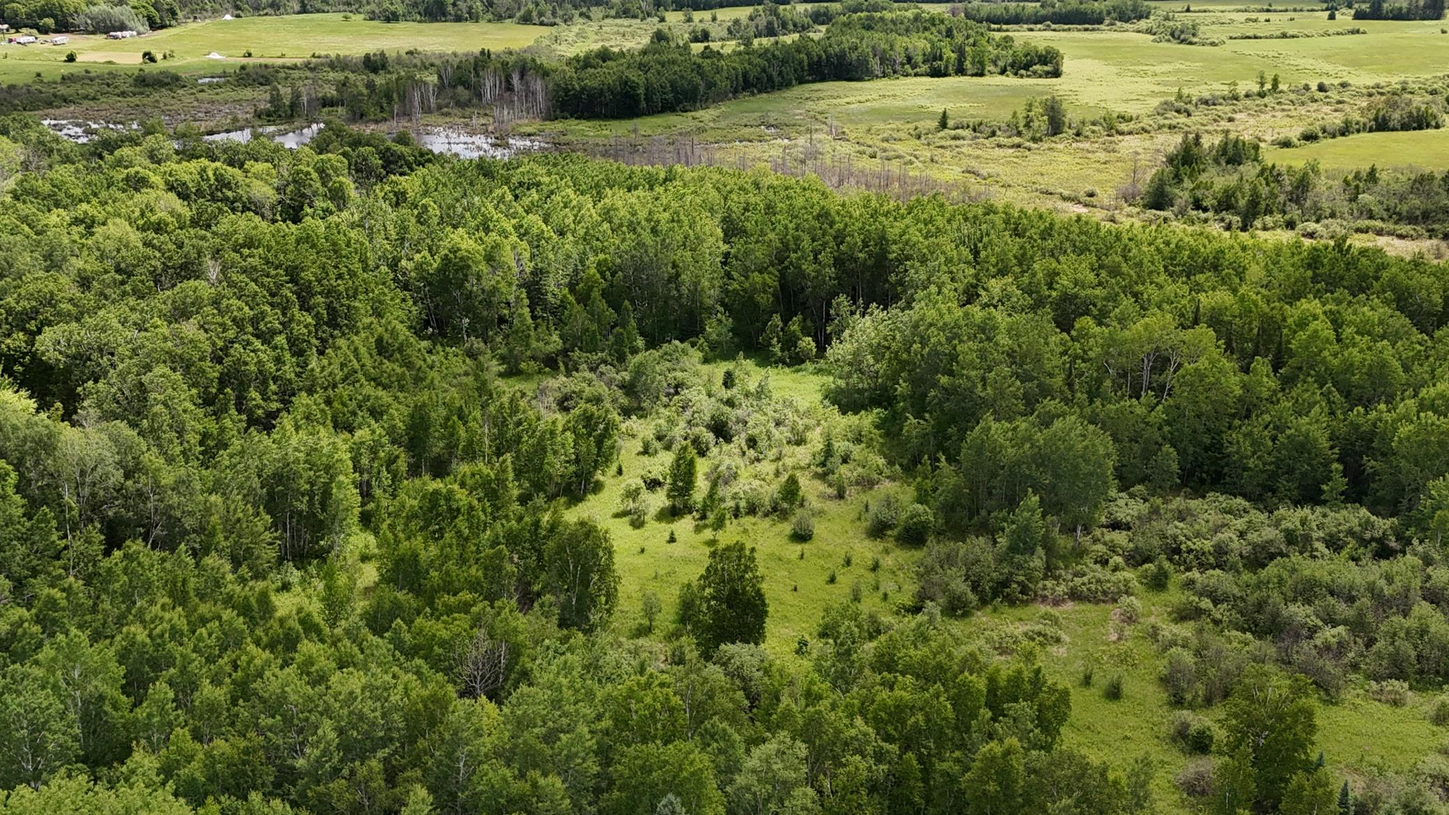 DJI_20260616114257_0537_D.JPG