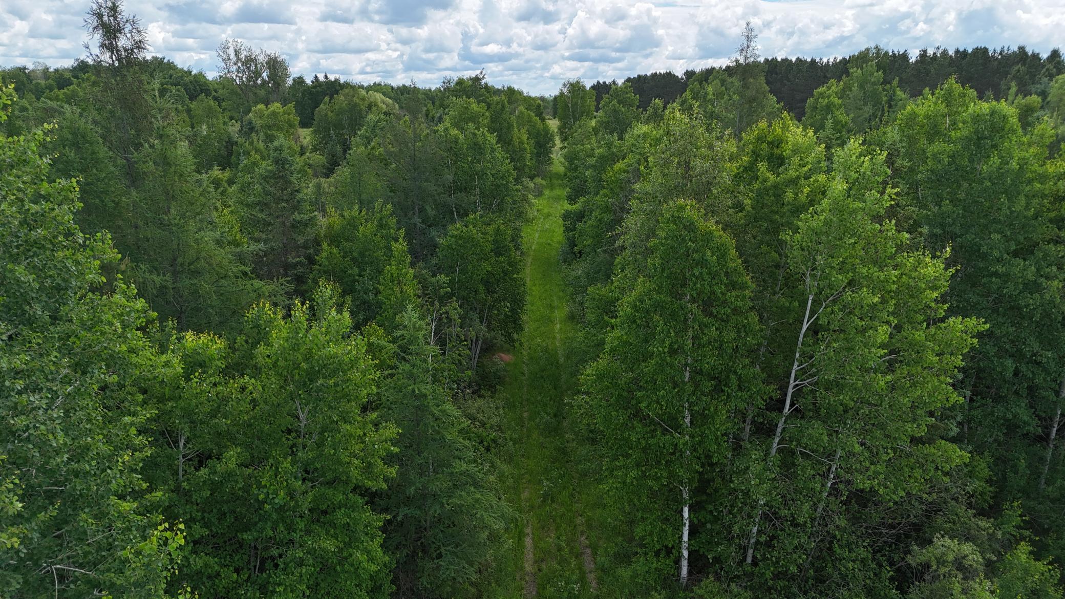 DJI_20260616113309_0510_D.JPG
