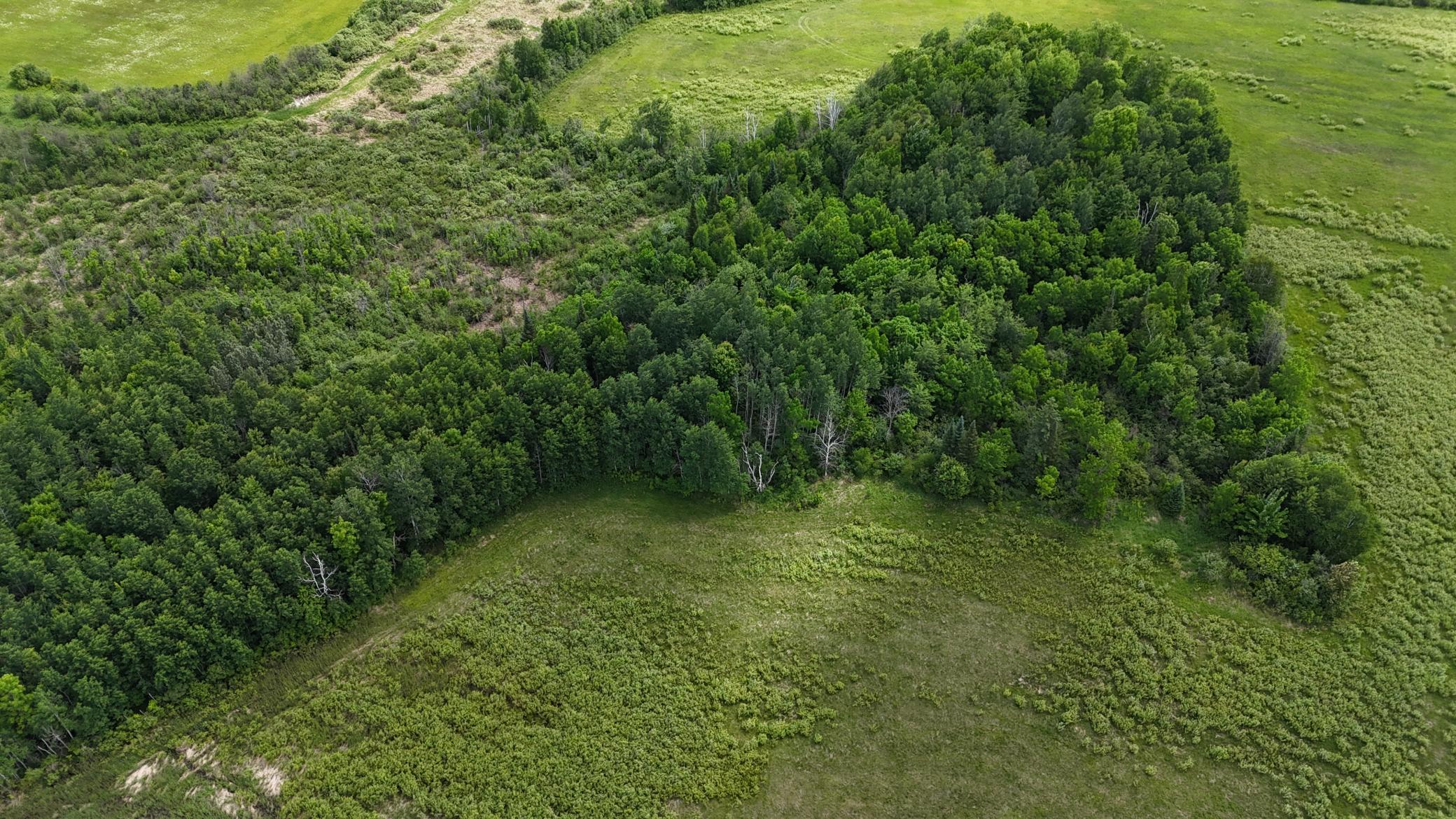 DJI_20260616113825_0524_D.JPG