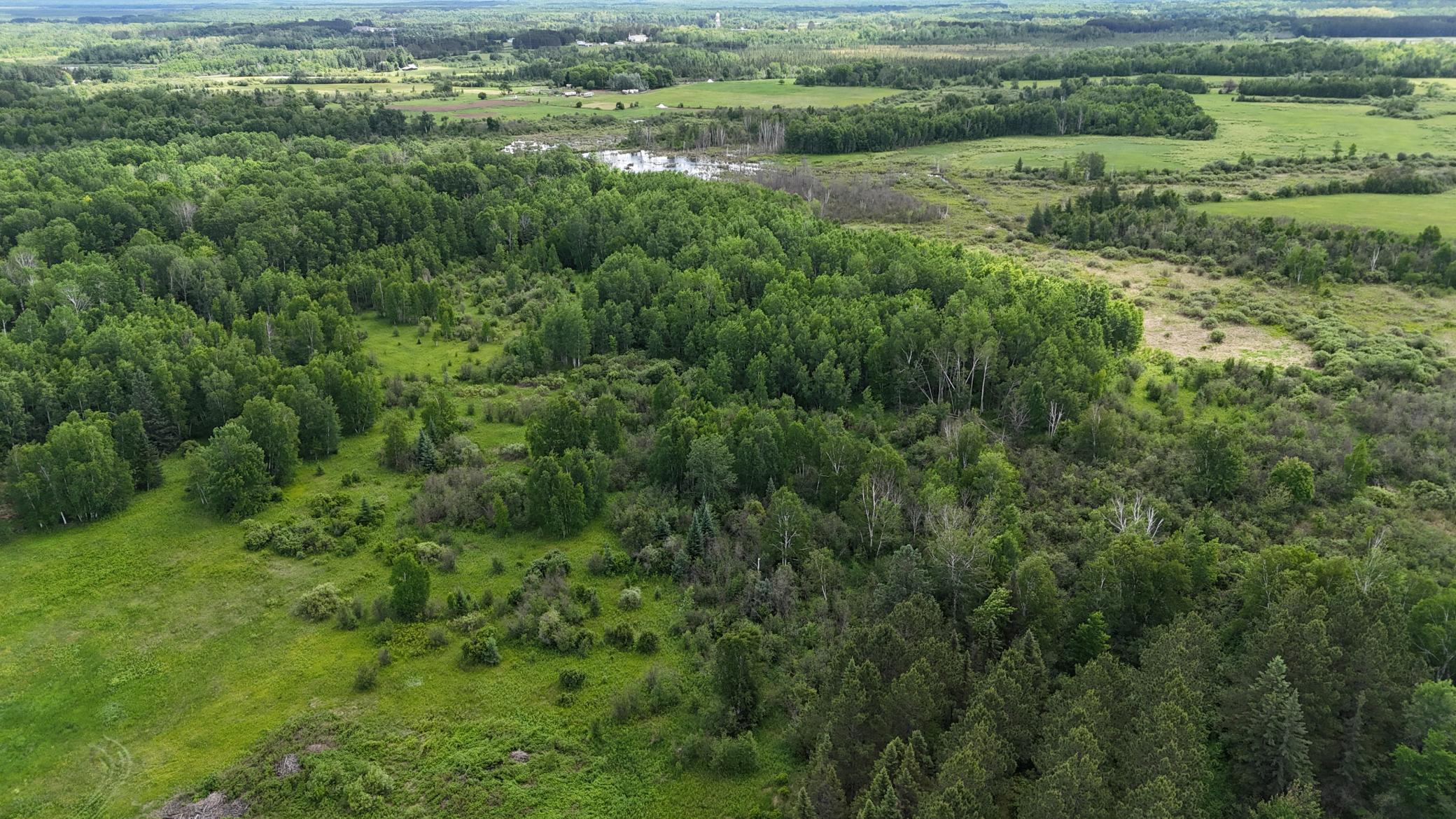 DJI_20260616113631_0521_D.JPG