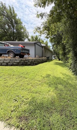 Back Yard a.jpg