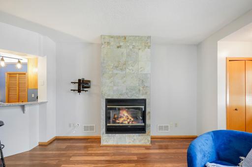 8710Photography-High-Resolution-506-Lovell-Avenue-West-#6-Roseville-MN-55113-55113-14.jpg