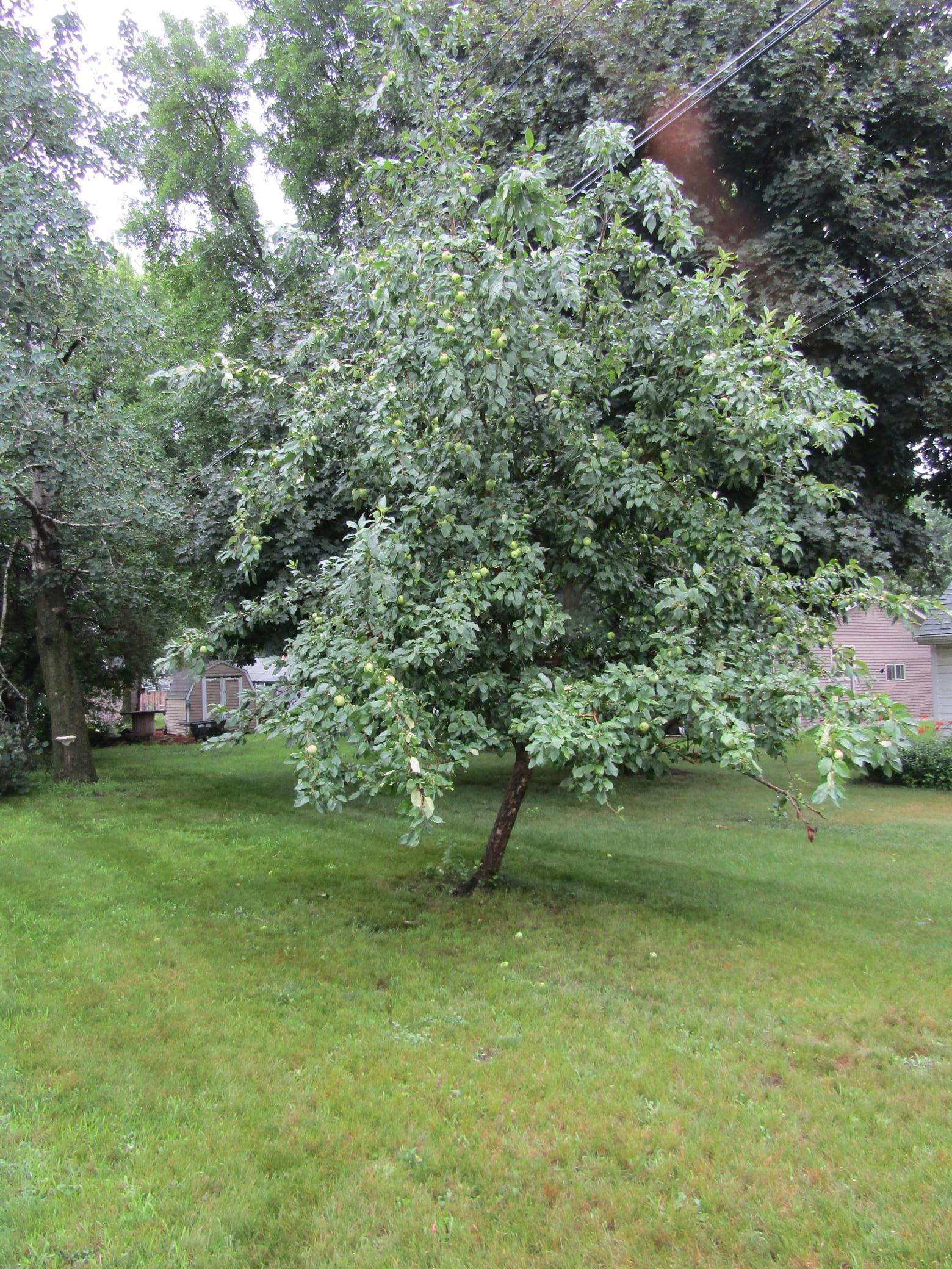 IMG_1573 - Copy (2).JPG