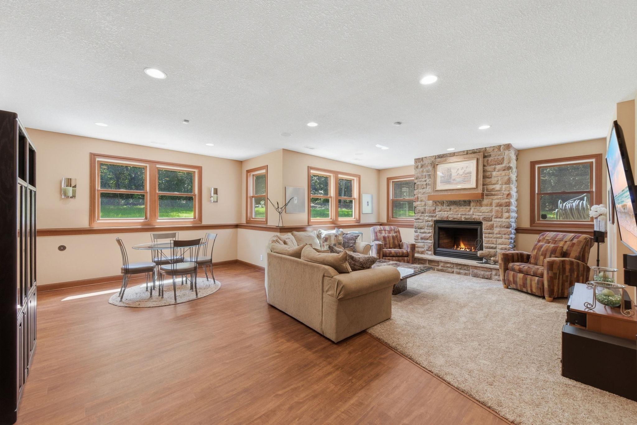 Lower Level Family Room