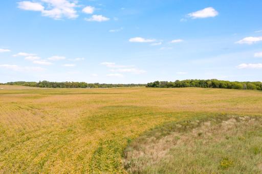 9855 E 260th Street, Elko New Market, MN 55020