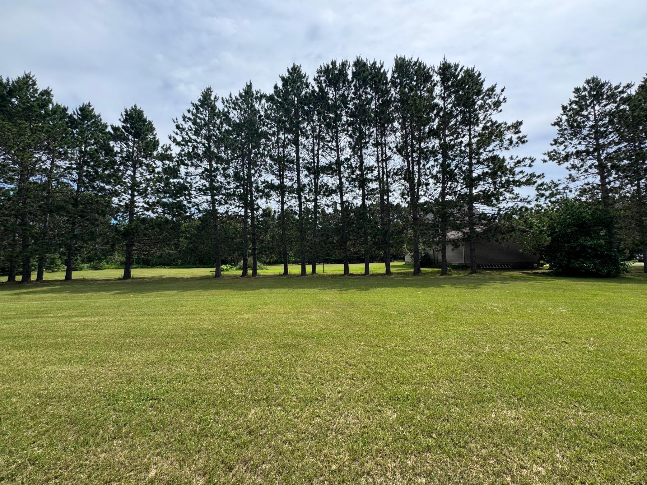 Yard/Property