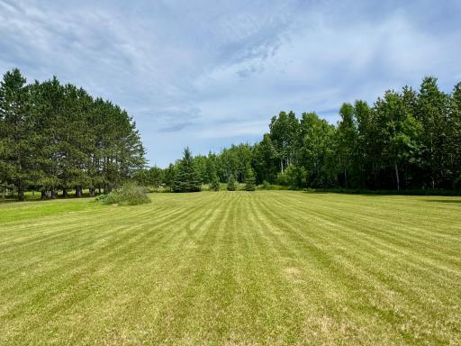 Yard/Property