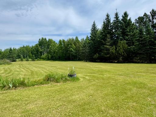 Yard/Property