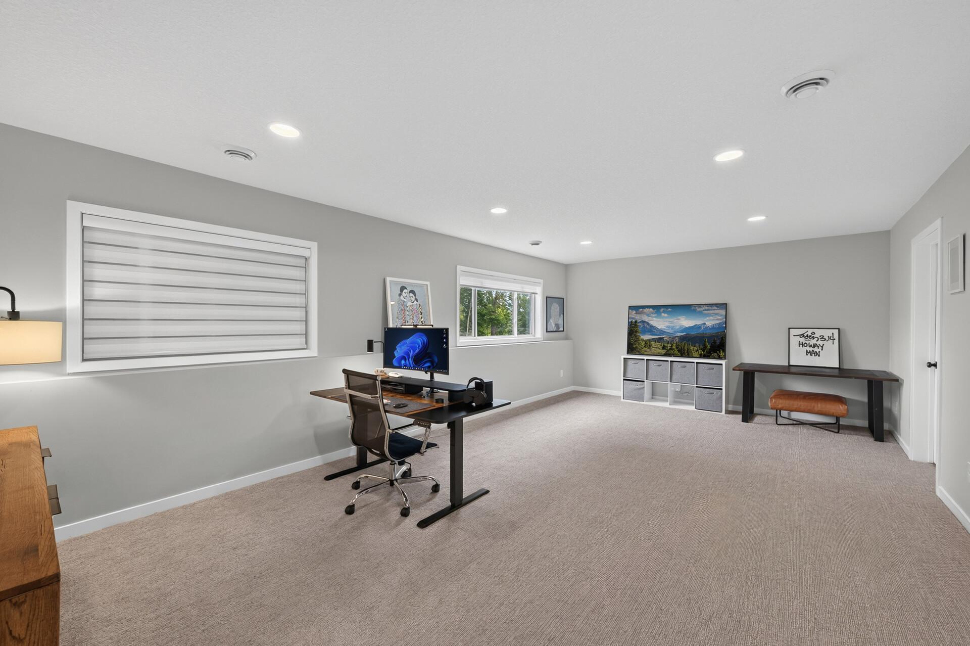 Lower level family room
