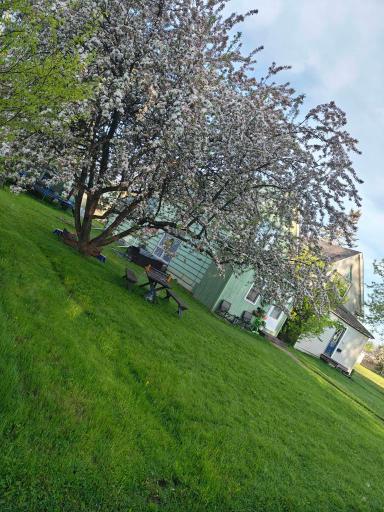 Enjoy this spacious double lot for all your entertaining needs.