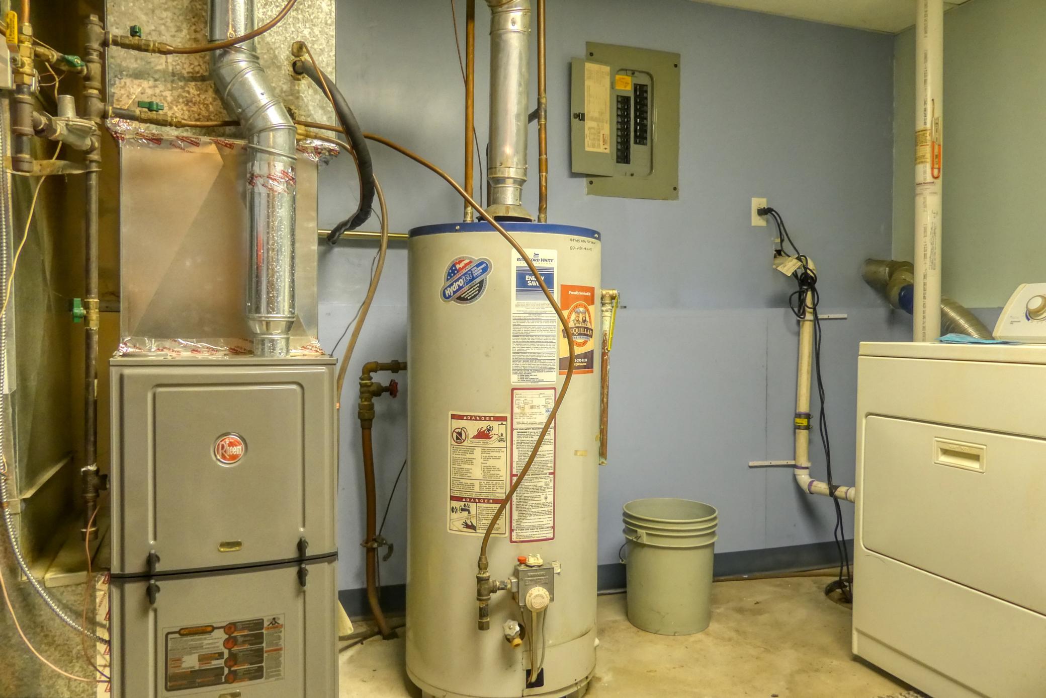 P1210278.jpg