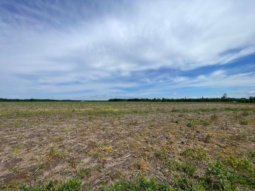 TBD2 Boot Lake Road SW, Bemidji, MN 56601
