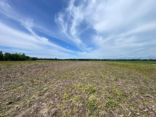 TBD2 Boot Lake Road SW, Bemidji, MN 56601