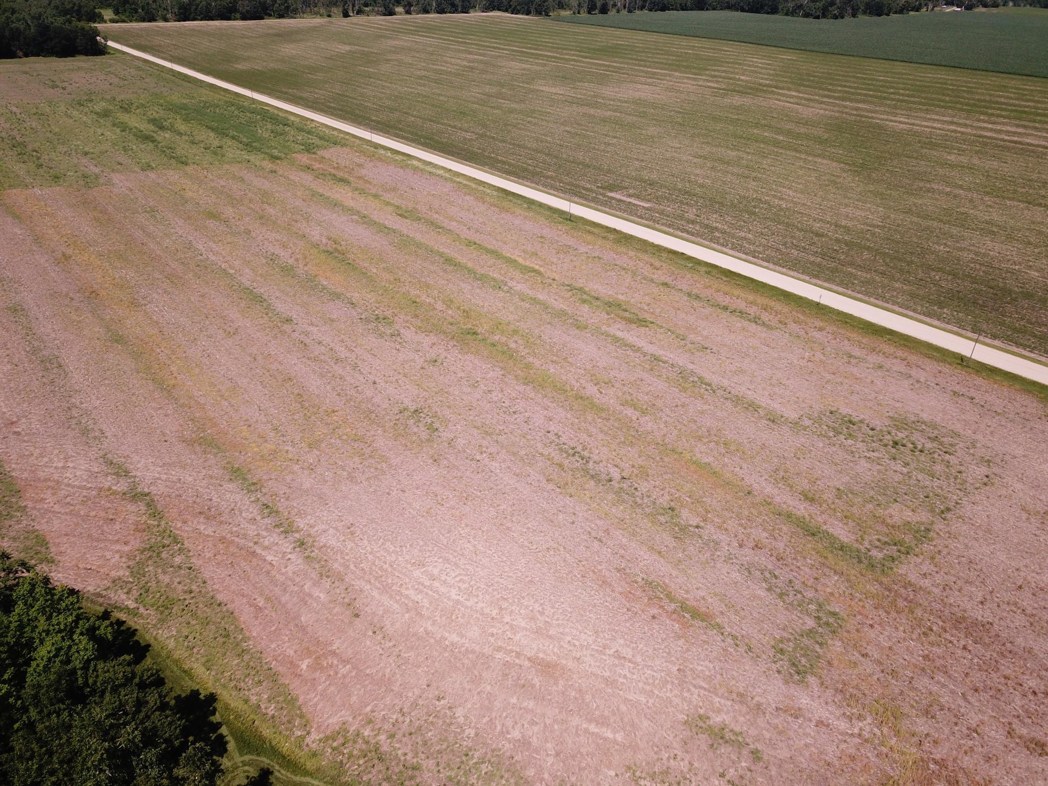DJI_0047.JPG
