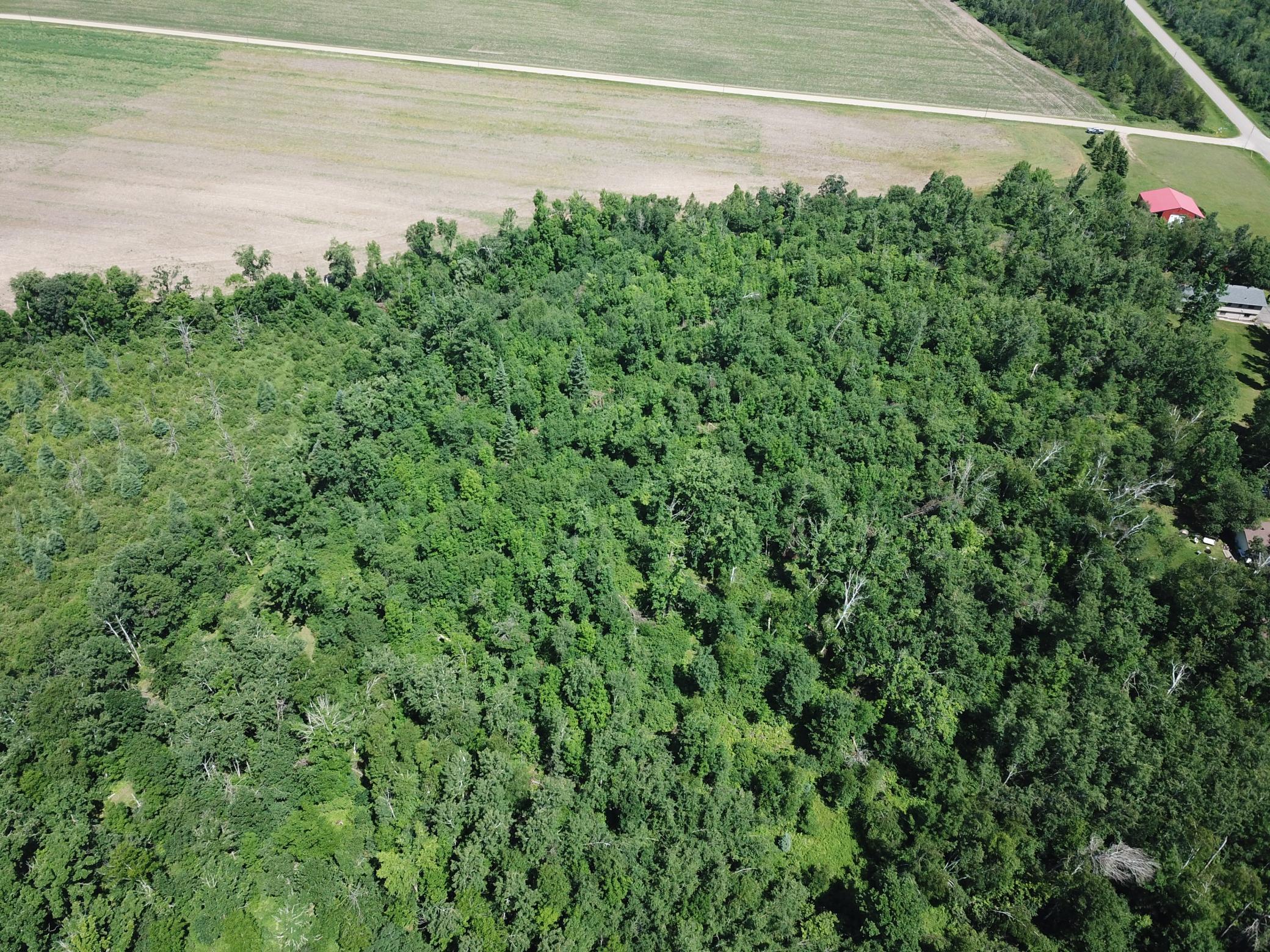 DJI_0013.JPG